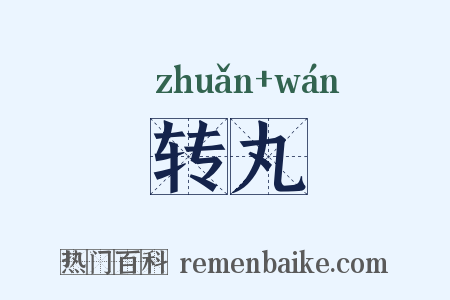 转丸是什么意思的图片
